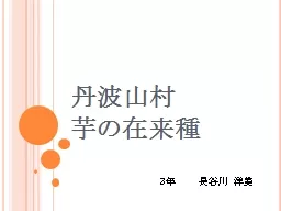 丹波山村 芋の在来種