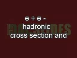 e + e -   hadronic  cross section and