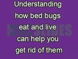 BIOLOGY Understanding how bed bugs eat and live can help you get rid of them