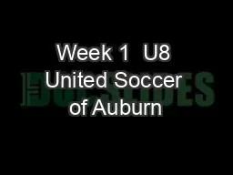 Week 1  U8 United Soccer of Auburn