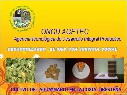 PPT-ONGD AGETEC Agencia Tecnológica de Desarrollo Integral Productivo