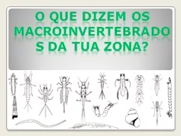 O que dizem os  macroinvertebrados