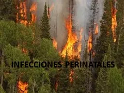 INFECCIONES PERINATALES