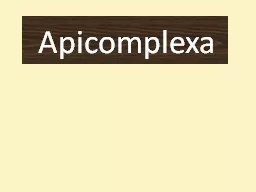 PPT-Apicomplexa