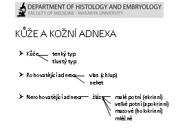 KŮŽE A KOŽNÍ ADNEXA