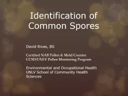 Identification of Common Spores