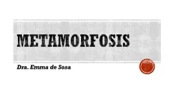 Metamorfosis Dra. Emma de Sosa