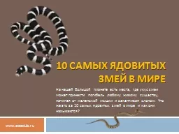 10 самых ядовитых змей в мире