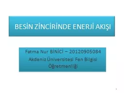 BESİN ZİNCİRİNDE ENERJİ AKIŞI