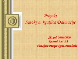 Projekt Smokva, kraljica Dalmacije