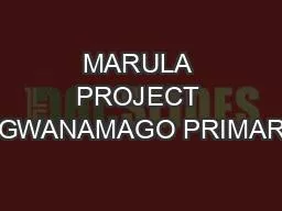 MARULA PROJECT NGWANAMAGO PRIMARY