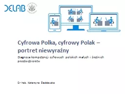 Cyfrowa Polka, cyfrowy Polak – portret niewyraźny