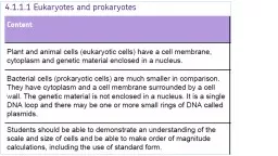 Bacterial cell (prokaryotic)