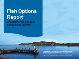 Fish Options Report Explaining the consent