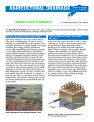 publication series Issues and Answers by Lowell Busman