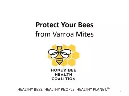 Protect Your Bees  from Varroa Mites