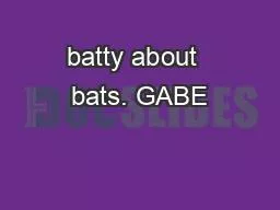 batty about  bats. GABE