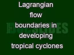 Lagrangian flow boundaries in developing tropical cyclones