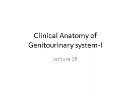 Clinical Anatomy of Genitourinary system-I