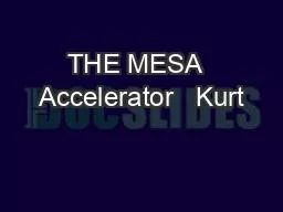 THE MESA  Accelerator   Kurt