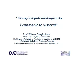 José Wilson  Zangirolami