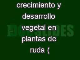 ‘’Evaluación al crecimiento y desarrollo vegetal en plantas de ruda (