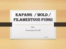 JAMUR ( fungi ) Oleh  : Firman Jaya