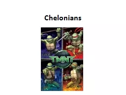 Chelonians Chelonian Taxonomy