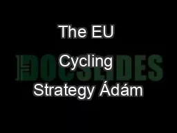 The EU Cycling Strategy Ádám