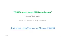 “WA104 Cosmic muon  tagger CERN