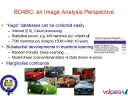 BD4BC:  an  image  analysis perspective