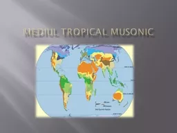 Mediul  tropical  musonic