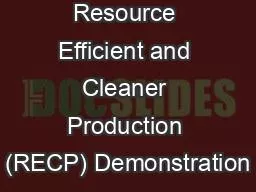 Regional Resource Efficient and Cleaner Production (RECP) Demonstration