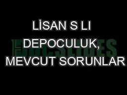 LİSAN S LI DEPOCULUK,  MEVCUT SORUNLAR