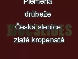 Plemena drůbeže Česká slepice zlatě kropenatá