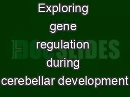 Exploring gene regulation during cerebellar development