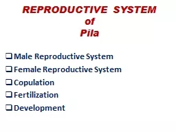 REPRODUCTIVE SYSTEM  of Pila