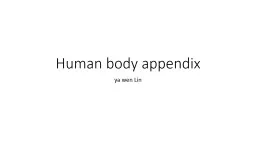 Human body appendix By  yuyu