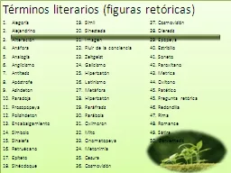 Términos   literarios  (