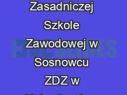 Opracowany w Niepublicznej Zasadniczej Szkole Zawodowej w Sosnowcu ZDZ w Katowicach w ramach projek