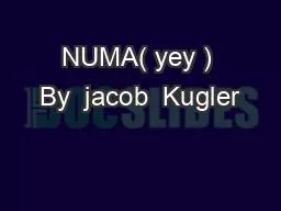 NUMA( yey ) By  jacob  Kugler