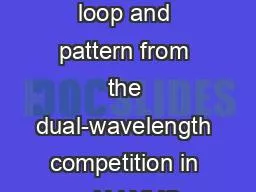 Hysteresis loop and pattern from the dual-wavelength competition in a Nd:YVO