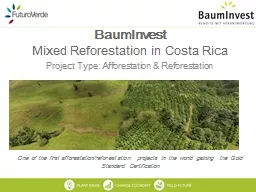 PPT-BaumInvest Mixed Reforestation in Costa Rica