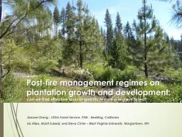 Post-fire management regimes on plantation growth and development: