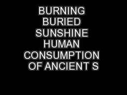 BURNING BURIED SUNSHINE HUMAN CONSUMPTION OF ANCIENT S