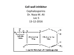 Cell wall  inhibitor C ephalosporins