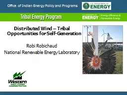 Office of Indian Energy Policy and Programs