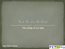 PPT-The cyborg of our time