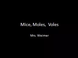 Mice, Moles,  Voles Mrs. Weimer