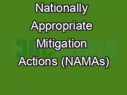 Nationally Appropriate Mitigation Actions (NAMAs)